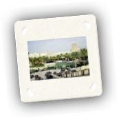 Best_Of_Dubai_2007 (20).jpg